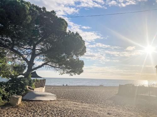 un arbre sur une plage de sable avec l'océan dans l'établissement Apartment Le Racou by Interhome, à Argelès-sur-Mer