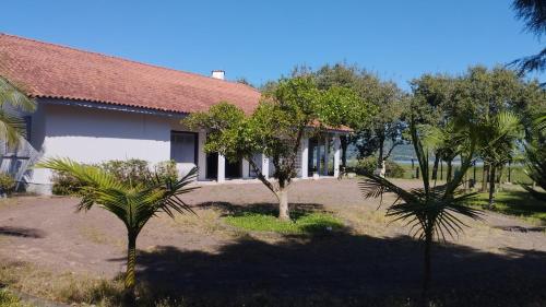 Taman di luar Sítio em Torres com Piscina e vista para Lagoa da Itapeva - Sítio Éden