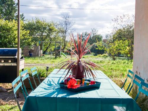 une table bleue avec une plante en pot dans l'établissement Holiday Home La Coulée Douce by Interhome, à Lorgues