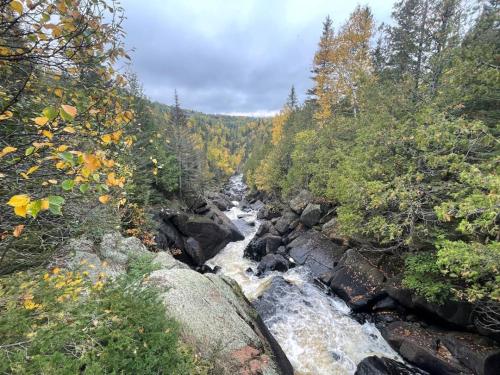 a river in the middle of a forest at Ski in Ski out Cozy Studio Condo, Pool, Hot Tub, Views of Moose Mtn in Lutsen