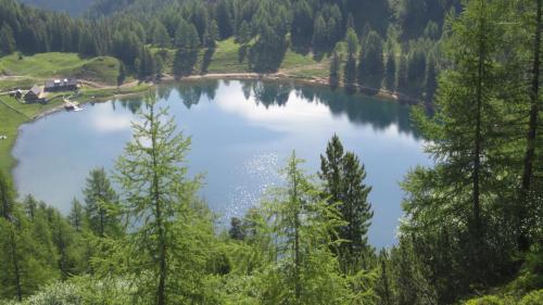 a lake in the middle of a valley with trees at Rojerhof in Schladming
