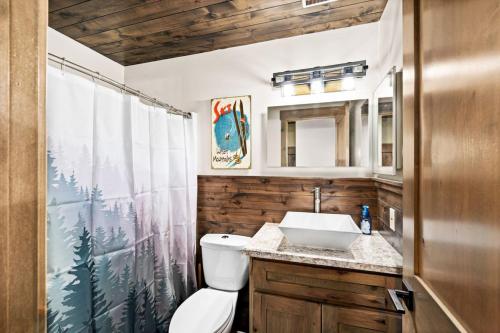 a bathroom with a toilet and a sink at Condo at Lutsen Mtn, Ski in Ski out, Hike, Bike, Ski, Swim, etc in Lutsen