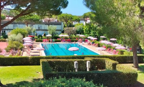 Πισίνα στο ή κοντά στο Studio 3 beds with common swimming-pool in Marina di Bibbona