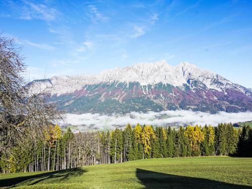 a mountain in the distance with a green field and trees at Apartment Ferienwohnung Gartenblick by Interhome in Öblarn