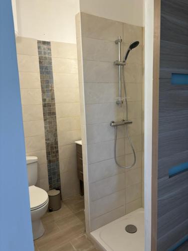 une salle de bain avec douche et toilettes dans l'établissement Studio Les arbousiers, à Santa-Maria-di-Lota