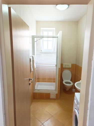 Apartments Tessa 63