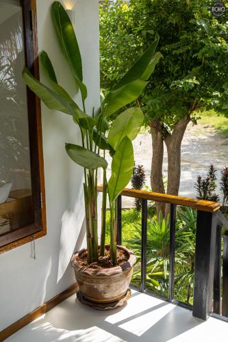 a plant in a pot sitting on a window sill at BOHO Boutique Bungalows in Baan Tai