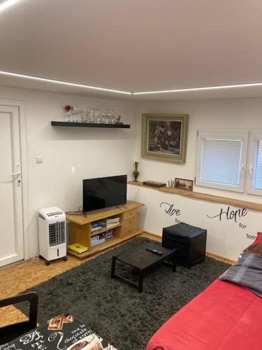 a living room with a flat screen tv and a couch at Slup mobilheim u mlýna in Jaroslavice