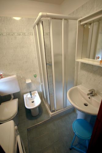 a bathroom with a shower and a sink and a toilet at Champoluc Apartment in Champoluc