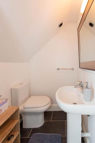 a bathroom with a toilet and a sink at Stunning studio flat with dedicated private garden in Shrewsbury