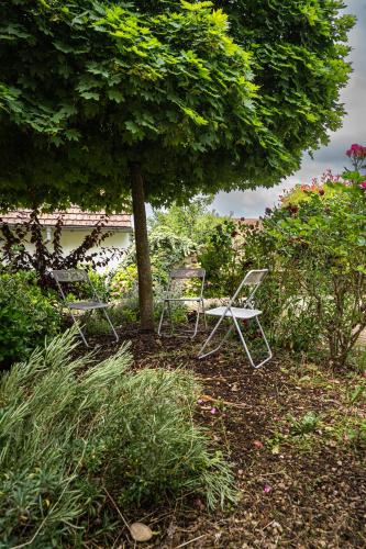 two chairs and a tree in a garden at Le gite 'Humulus' in Bilwisheim