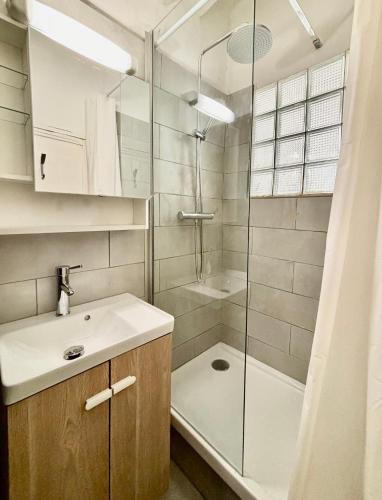 une salle de bain avec une douche et un lavabo et une douche dans l'établissement Charmant T1 mezzanine provençal, à Aix-en-Provence