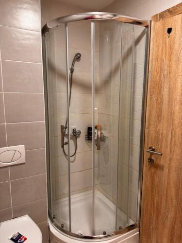 a shower stall in a bathroom with a toilet at Apartman 69 in Krnjača