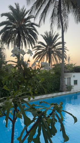 Πισίνα στο ή κοντά στο Maison d'hôtes villa Anna Dakar