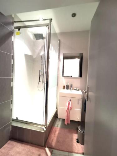 une salle de bain avec une douche, un lavabo et un miroir dans l'établissement Cozy deux pieces, terrasse, en centre ville, à Valence