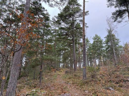 Un paisaje natural cerca de la casa vacacional