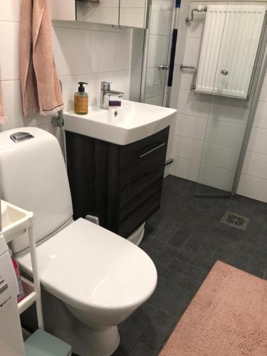 a bathroom with a toilet and a sink and a shower at Cozy HomeStay Share Apartment in Helsinki