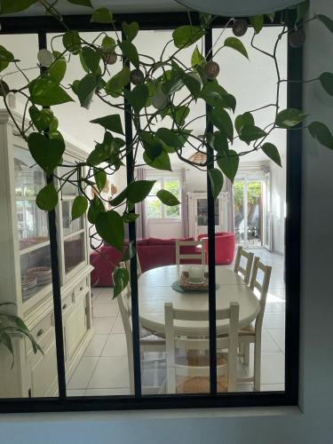 St Cyprien belle maison confortable ensoleillee avec jardin