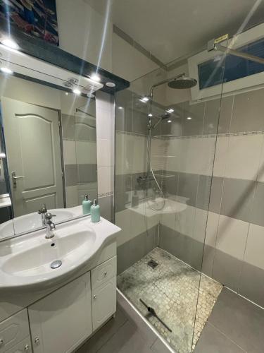 une salle de bain avec un lavabo et une douche en verre dans l'établissement St Cyprien belle maison confortable ensoleillee avec jardin, à Saint-Cyprien