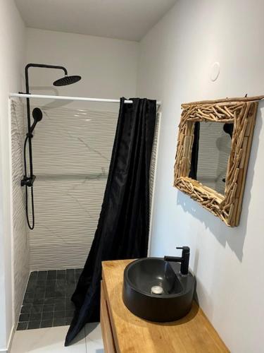 a bathroom with a shower with a sink and a mirror at VILLA CARAIBE in Sainte-Luce