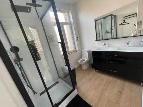 une salle de bain avec une douche, un lavabo et des toilettes dans l'établissement Malouine de style idéale famille, à Dunkerque