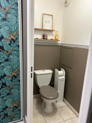 une salle de bain avec toilettes et douche dans l'établissement Appartement 1 chambre avec terrasse 5mn de Disney, à Magny-le-Hongre