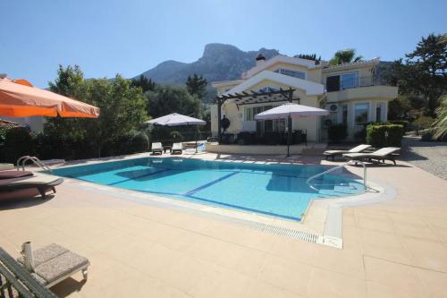 Swimmingpoolen hos eller tæt på Villa with fabulous Barbeque House