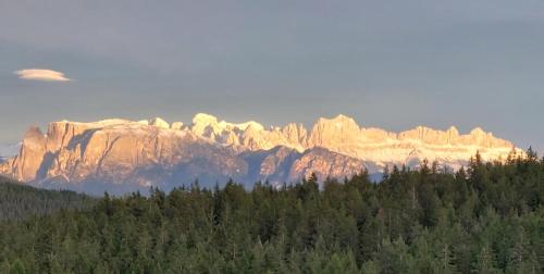 a view of a mountain range with trees in the foreground at Lanzenschuster in San Genesio Atesino