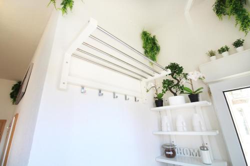 a stairway with potted plants on the wall at Hotel Ulm Zentrum - Komplettes Zimmer, Hochbett, Android TV & eigenem Bad - perfekt für Familien & Gruppen in Ulm