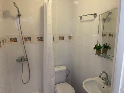 Un baño con ducha, inodoro y lavabo. en Sunset Apartmani, en Vršac