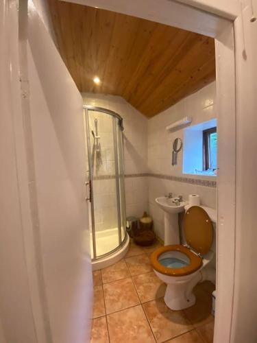 a bathroom with a toilet and a glass shower at Private Thatched Cottage - with views in Letterkenny
