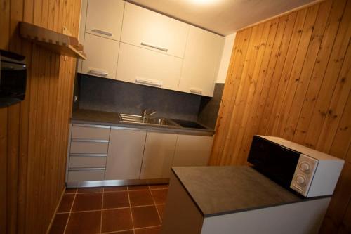 a small kitchen with a sink and a microwave at Champoluc Apartment in Champoluc