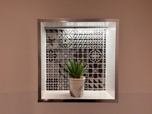 a potted plant in a window in a wall at Luxurious 2 bedroom apartment with sea view in Monkstown in Blackrock