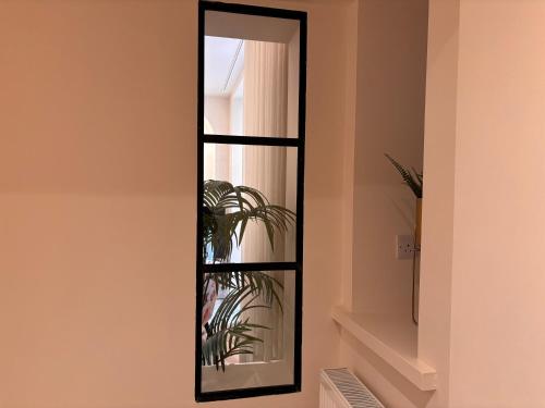 a mirror on a wall with a plant in it at Luxurious 2 bedroom apartment with sea view in Monkstown in Blackrock