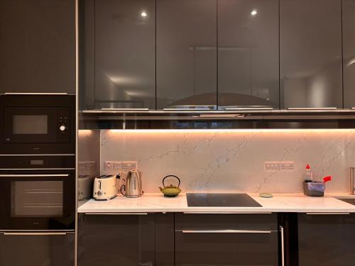 a kitchen with a counter top with a stove and microwave at Luxurious 2 bedroom apartment with sea view in Monkstown in Blackrock