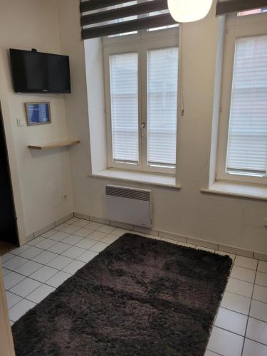 une pièce vide avec 2 fenêtres et un tapis dans l'établissement Studio Tripiers, à Colmar