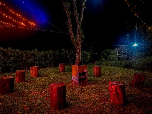a group of red wooden stumps around a tree at night at Spies Munnar Camping in Chinnakanal