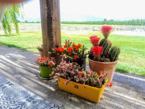 Сад в Casa de Campo Finca La Angelita