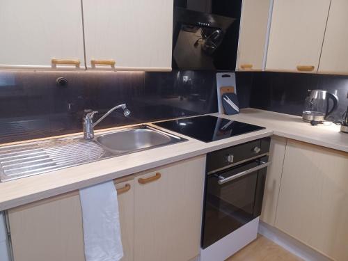 a kitchen with a sink and a counter top at Villa Finlandia, Tornio at the border of Finland and Sweden in Tornio