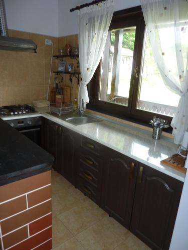 a kitchen with a large sink and a window at Casuta de pe deal in Băiculeşti