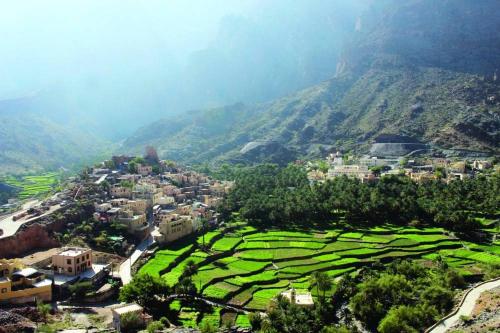 a small town in a green field with a mountain at Mahalli Balad Sayt Heritage Inn in Bilād Sayt