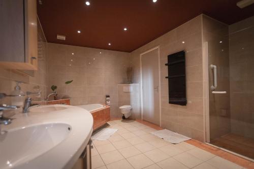a bathroom with a sink and a shower and a toilet at Boukje har Bêd en Brochje in Burgum
