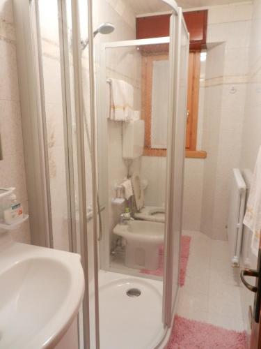 a bathroom with a shower with a sink and a toilet at Casa Elda in Valdidentro