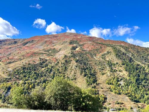 a mountain with trees on the side of it at Appartement 6 personnes au pied des pistes - Ecrin des Neiges 205 in Valmeinier