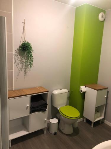 a bathroom with a toilet and a green wall at Appartement touristique Clisson gare in Clisson