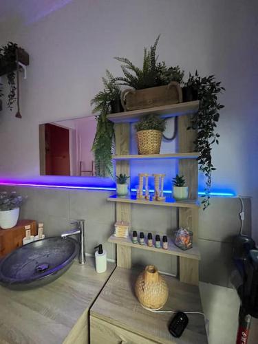 a bathroom with a sink and a tub with plants at Appart bain à remous et jardin proche plage l Eden in Calais