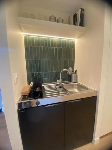 une petite cuisine avec évier et carrelage vert dans l'établissement Saint Jacques Sciences, à Paris