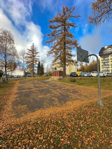 an empty basketball hoop in a park with leaves on the ground at Hagy Apartments in Vysoké Tatry