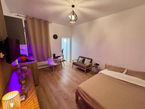 Appart-Lido, appartement cosy à REIMS