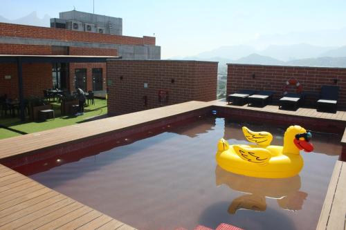 a yellow rubber duck sitting in a swimming pool at Ecovergel Santa Lucia in Monterrey